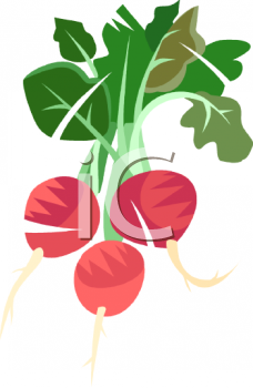 Food Clipart