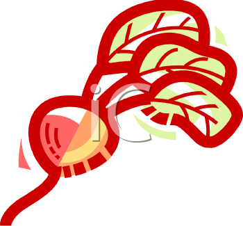 Food Clipart