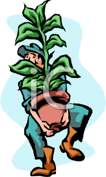 Cartoon Clipart