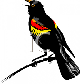 Bird Clipart