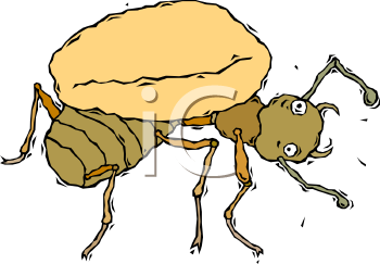 Insect Clipart