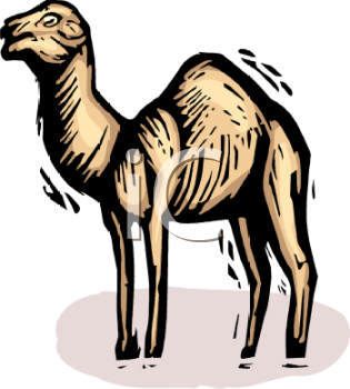 Camel Clipart