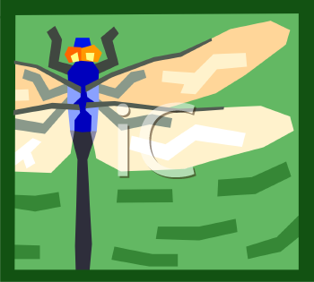 Insect Clipart