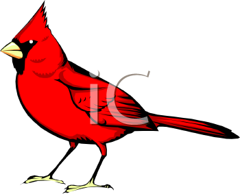 Bird Clipart