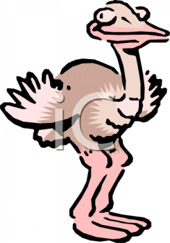 Bird Clipart