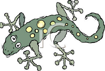 Lizard Clipart