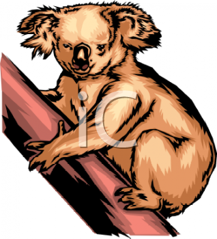 Marsupial Clipart