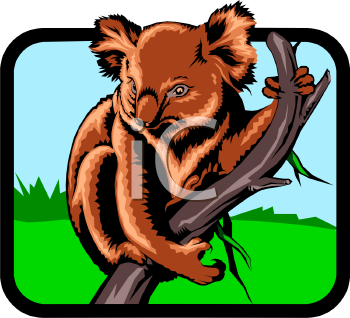 Marsupial Clipart