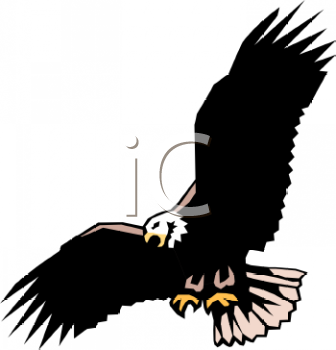 Bird Clipart