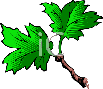 Grass and Tree Clipart