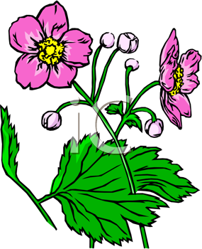 Flower Clipart