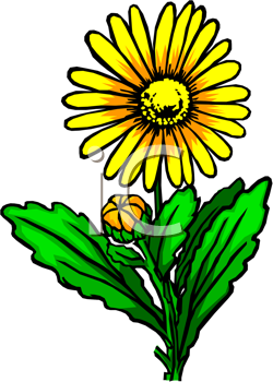 Flower Clipart