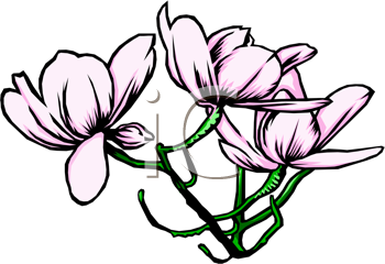 Flower Clipart