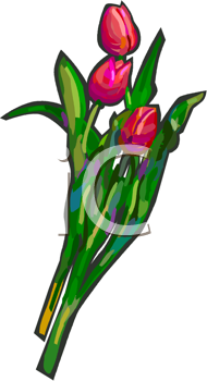 Flower Clipart