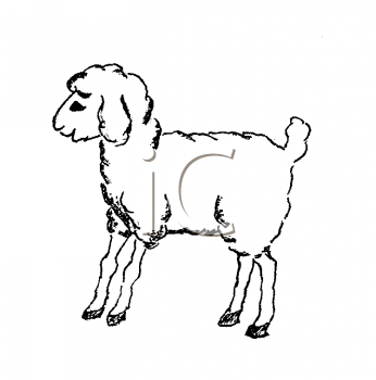 Farm Animal Clipart