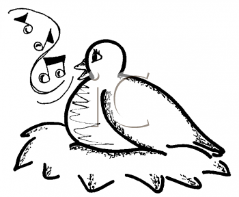 Bird Clipart