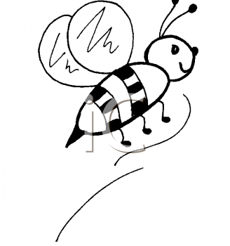 Insect Clipart