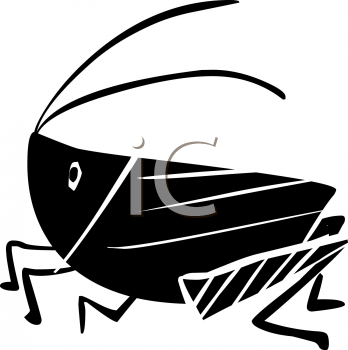 Insect Clipart