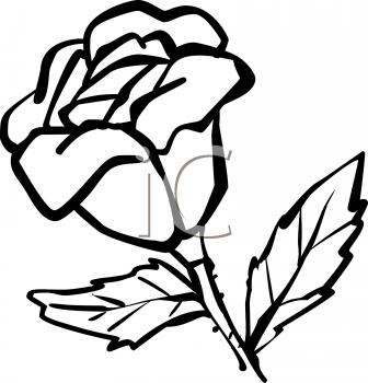 Flower Clipart