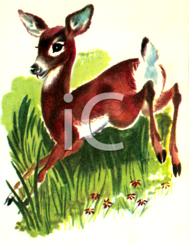 Deer Clipart