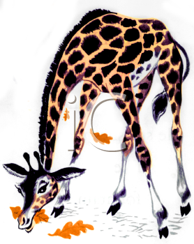 Mammal Clipart