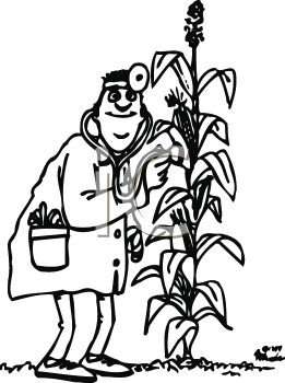 Farm Produce Clipart