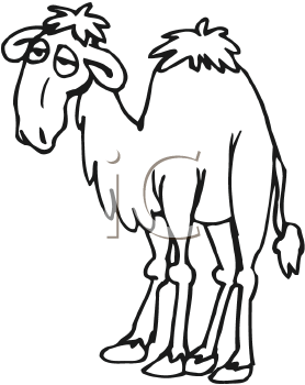 Camel Clipart