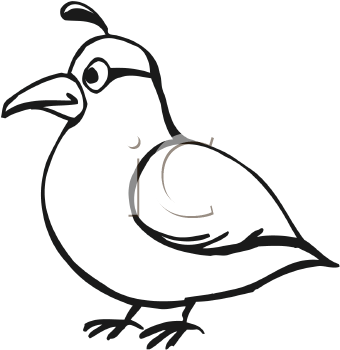 Bird Clipart