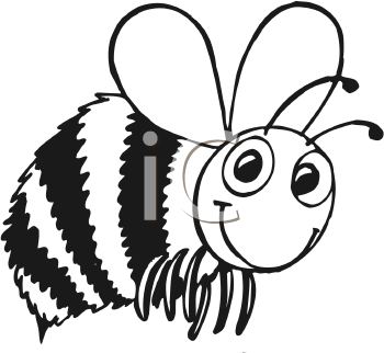 Insect Clipart