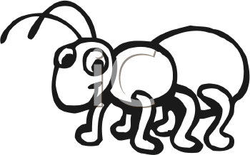 Insect Clipart