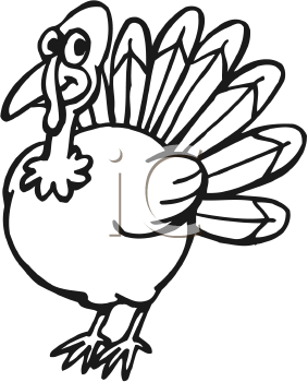 Bird Clipart