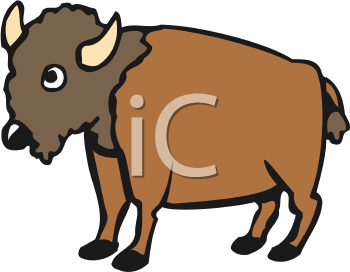 Buffalo Clipart