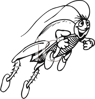 Insect Clipart