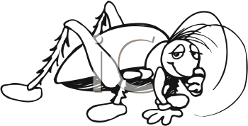 Insect Clipart