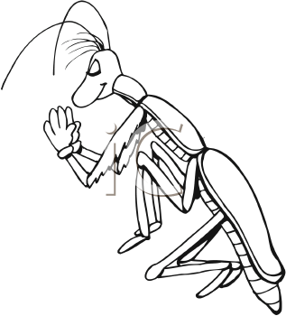 Insect Clipart