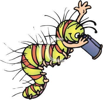 Insect Clipart