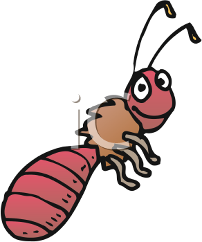 Insect Clipart