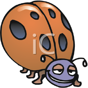 Insect Clipart