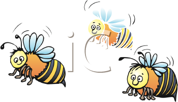 Insect Clipart