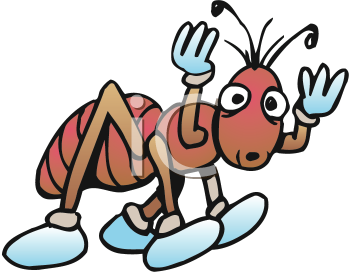 Insect Clipart