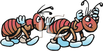 Insect Clipart