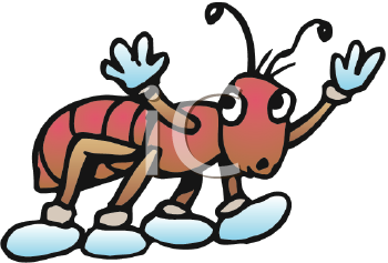 Insect Clipart