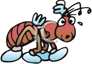 Insect Clipart