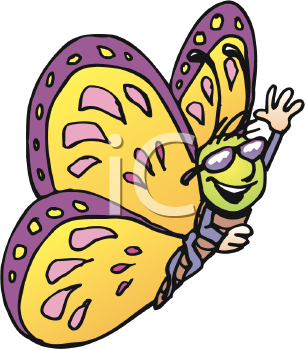 Insect Clipart