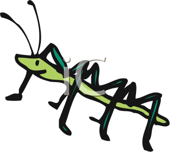 Insect Clipart