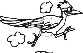 Bird Clipart