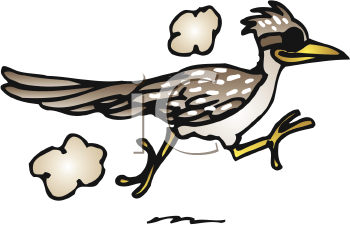 Bird Clipart