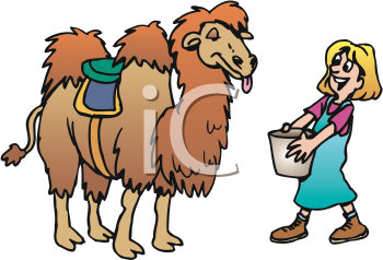 Camel Clipart