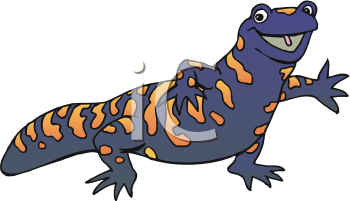 Reptile Clipart