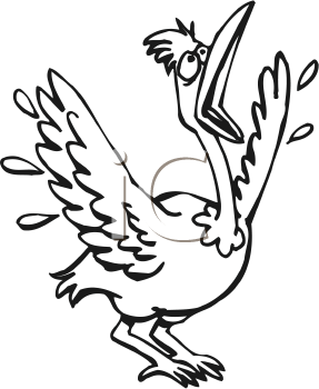 Bird Clipart